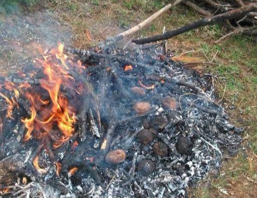 北方农村寒冷的冬天有这些 而南方人却很少见