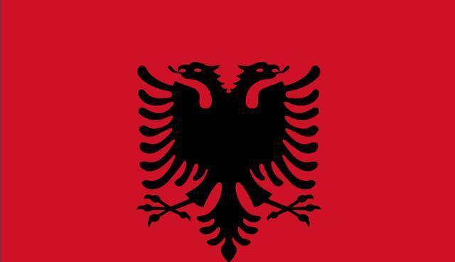 赛尔维亚主教练将送瑞士球员上海牙法庭审判?