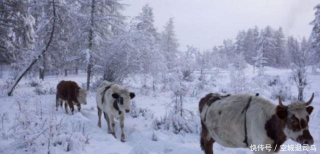 此地比我国面积还大300万, 但是人口为何才4000万