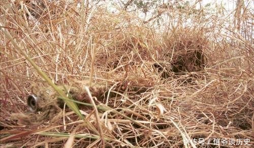 『狙击手』狙击手伪装有多好十米之内见不到人,最后一张能看出来就服你!