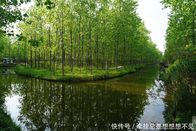 安徽被遗忘的一处公园,属国家级森林公园,创造出一个中国第一