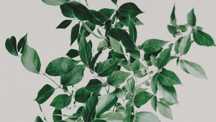 夏天穿内裤的误区，95%的女生都没注意!