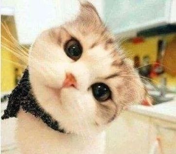 延迟退休怎么执行？人社部最新回应