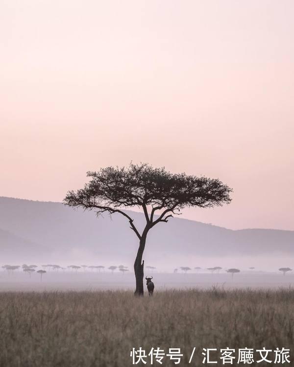 有了这些ins风拍照技巧，你还怕在朋友圈里不能胜出么？