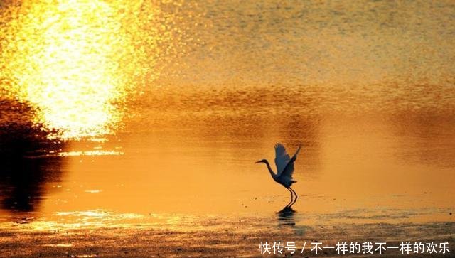 一篇《滕王阁序》竟有四十个成语，不愧是“天下第一骈文”