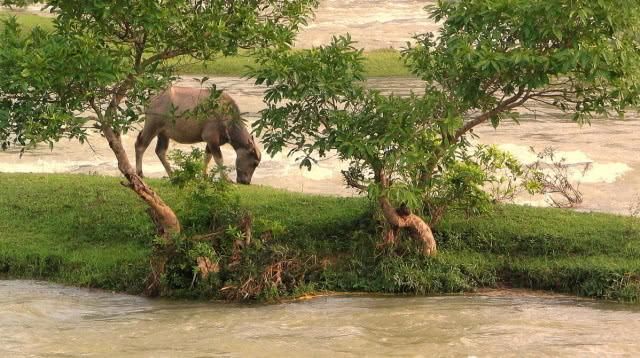 资深自驾网友整理，冷门但有驾驶乐趣的自驾线路？