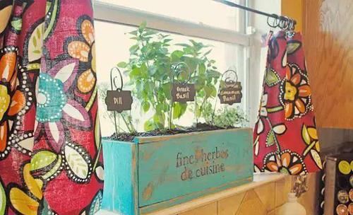  「木托盘」木托盘改造成花架，11个园艺小创意让你养花更轻松