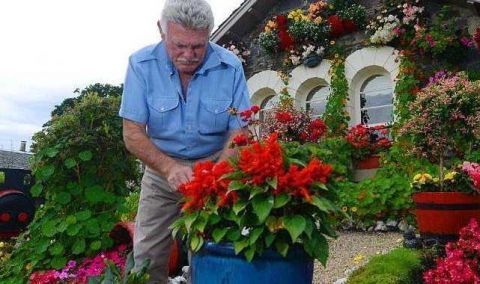 苏格兰一老人花16年时间，打造童话般花园，半夜经常听到拍照声