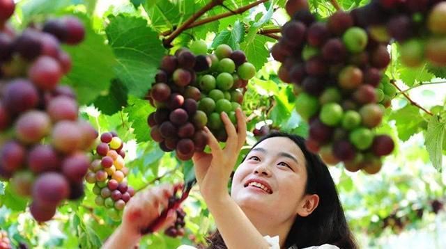  吃香■3年内，这几个项目在农村很吃香，年赚10万不难