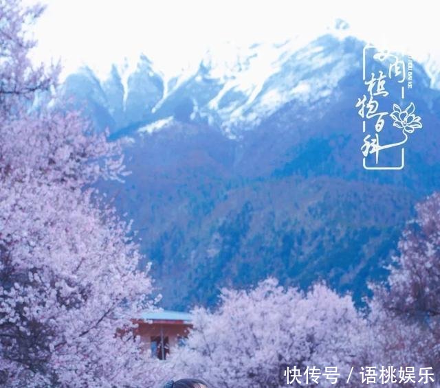  #喜欢#一粥一饭填饱肚子，一屋一花神仙日子！生命不止，玩趣不停！