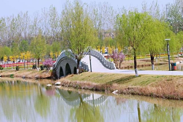 三月春暖花开,又到了寻花问柳的季节!