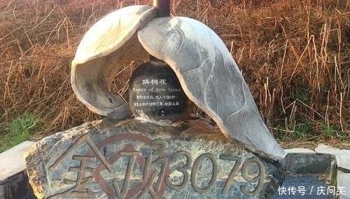 峨眉山金顶佛光是真的吗?当地司机师傅:“假的,本地人都知道”