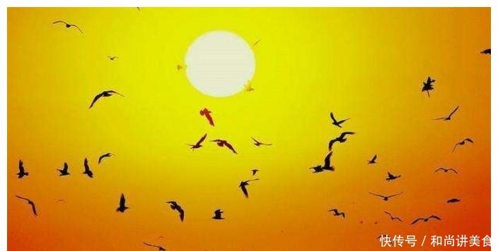 沙漠中的奇迹，这片沙漠中不仅有众多泉眼，还能在里面捞螃蟹