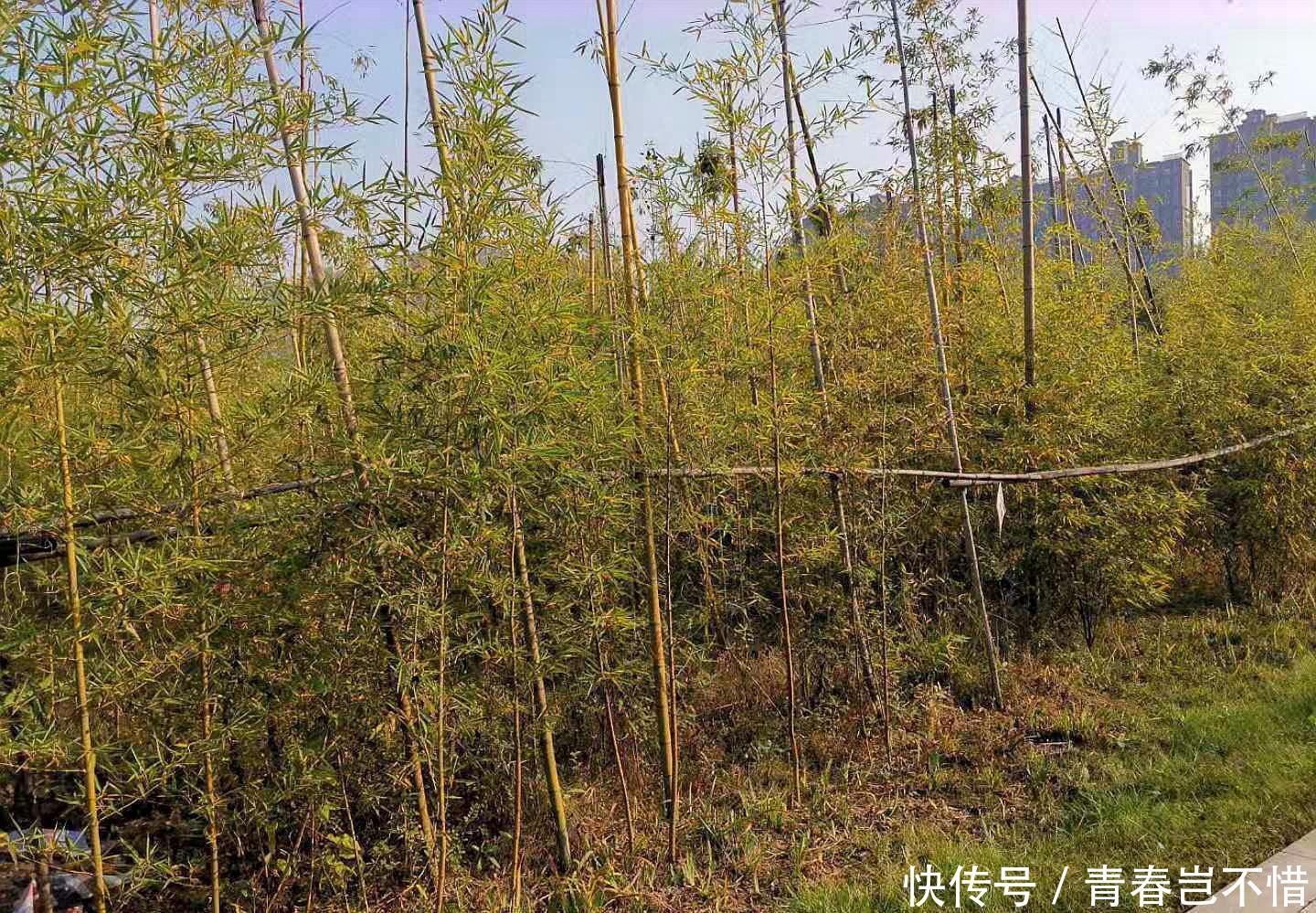 地铁四号线游玩