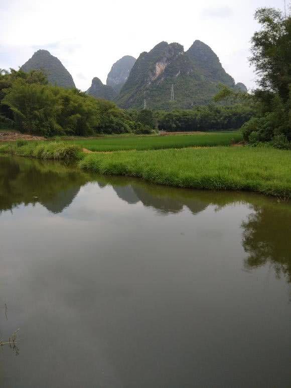  『钓友』钓友深潭中发现野物落水，网友：里面“阴气”太重没有鱼