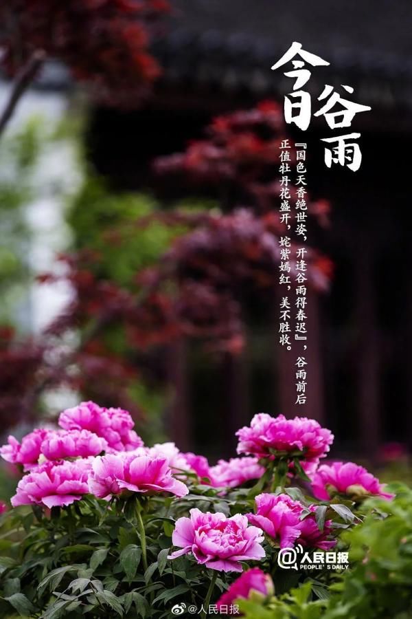  『节奏』最高温38℃！你以为海南入夏的节奏要来了？然而……