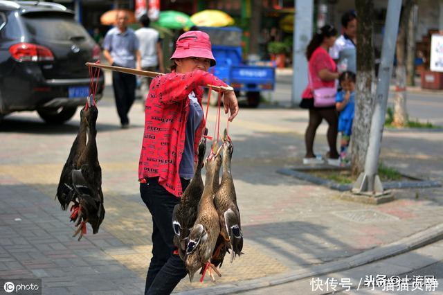 在农村，这3种赚钱小生意农民别做了，一旦被查麻烦就大了