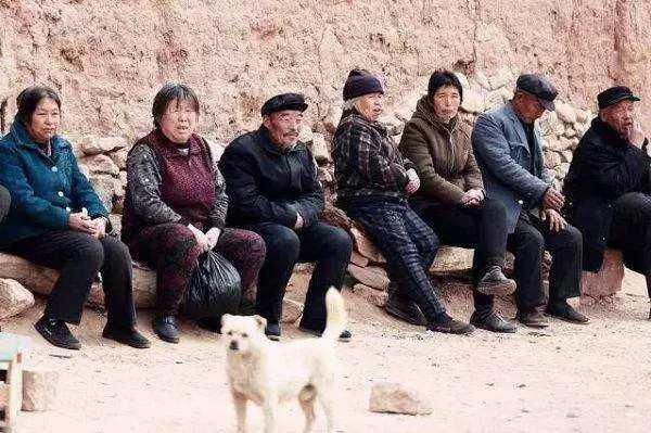 农民以后没钱养老，地也种不动了，怎么办？