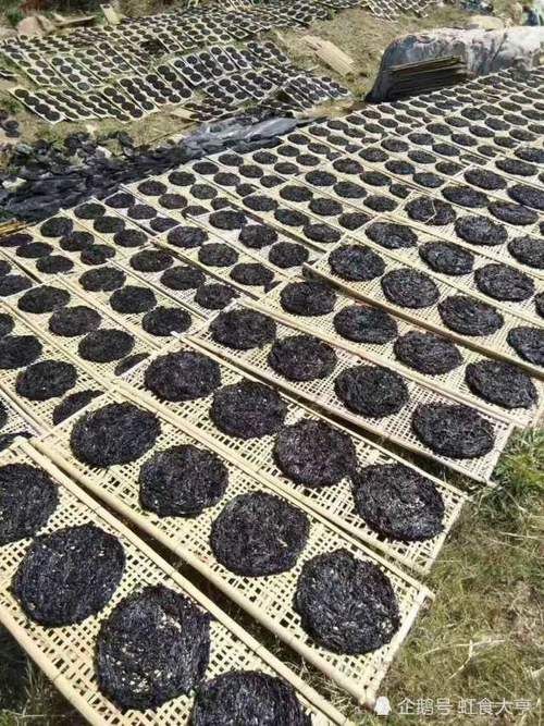 最贵的南澳“头菜”,为何刚上水就遭抢购?渔民:它被誉为“长寿