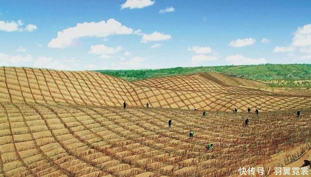 国人发明的草方格：是世界治沙史的奇迹，被国外称为“中国魔方”