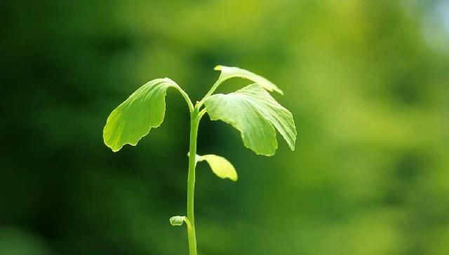  快乐@唯美走心的励志句子，哲理深刻，我们一起体会