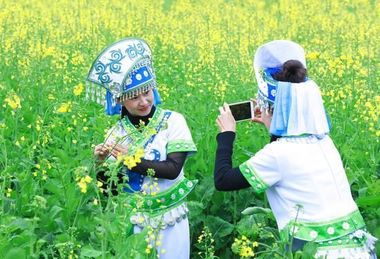 这个春节假期，迷失在罗平的油菜花海里，难以自拔，不想回去上班