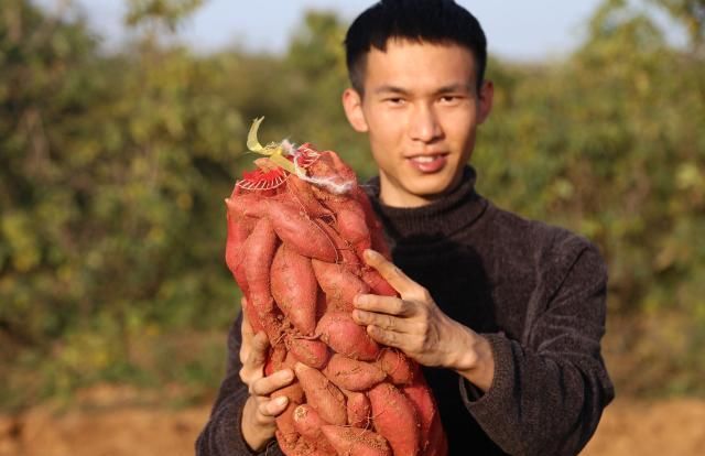  「名校」名校大学毕业生一心想找“铁饭碗”，考公务员失败后回