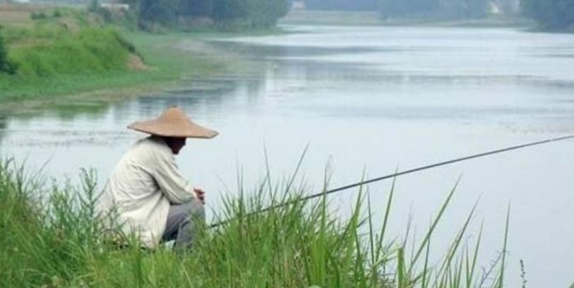  「中招」在黑坑用台钓法钓鱼，新手经常犯这9个错误，仔细看看你中招了吗
