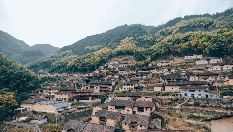 浙江最特殊的剧场，长在一片竹林中，非常原生态却美的超乎想象