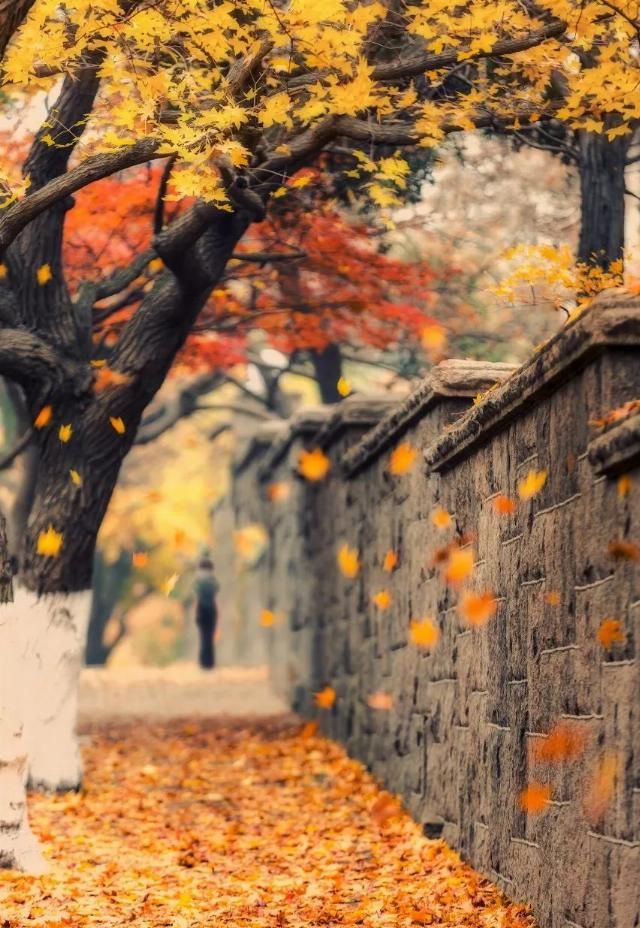 专属于十月的旅行目的地 你知道几个？