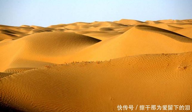 中国即将治理成功的沙漠，却来了一群“捣蛋鬼”，治沙者白忙了