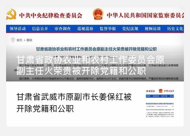 “生活堕落”的女市长，与火遍全国的“火书记”同日被双开