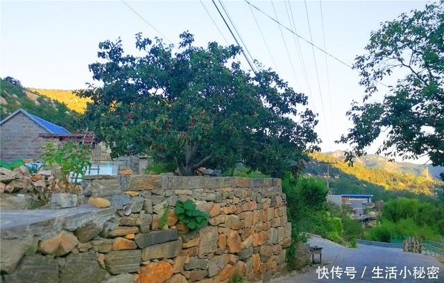 一生必去的沂蒙山人最早居住的古村落,北方最美的民宿也在这里