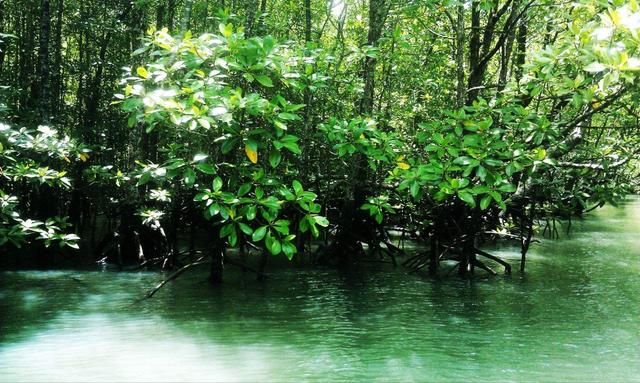 月薪3000在这里玩出了三万既视感？直飞三小时出国当“土豪”！