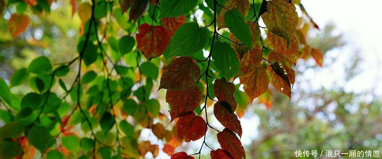 西安出发4个多小时到达, 山水相依, 如入仙境, 誉为陕南的九寨沟