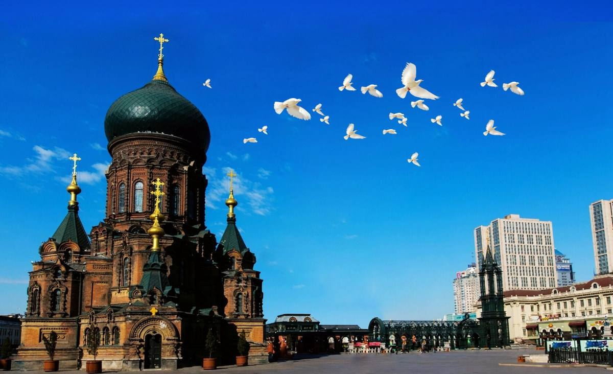 中国粮食第一省：粮食产量达7507万吨，全国近1/3的人靠此省养活