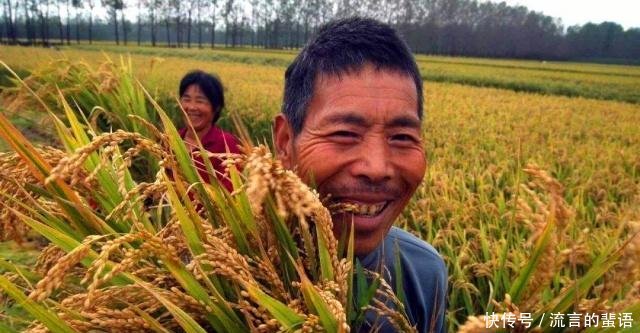 农村户口好消息！19年起，这5项国家红利逐渐发放，有没有你