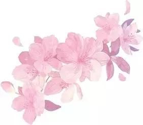 2019年，去林芝看桃花！