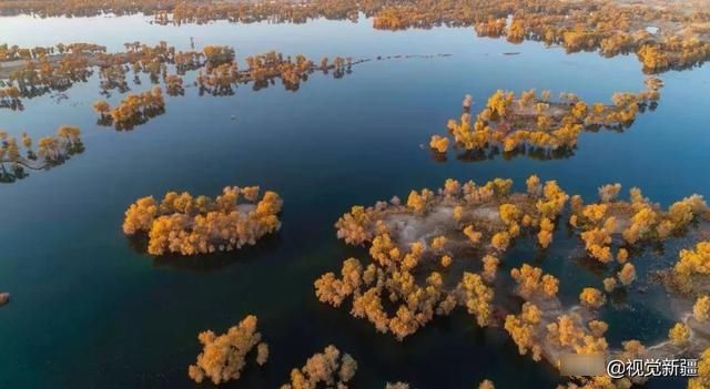 大山 沙漠 湖泊 金胡杨是大自然最完美的构图