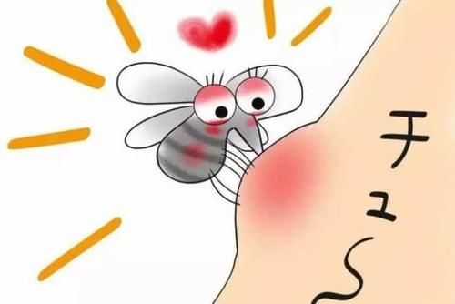  『正确』驱蚊正确打开方式你做对了吗？这些驱蚊好物一定不能错过！