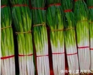  腰斩：山东大葱价格腰斩，是种大葱的多了，还是吃大葱的少了，