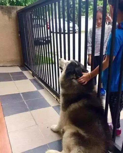 中国最郁闷城市，曾为中国石油撑起半壁江山，如今人去楼空