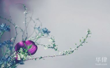 餐饮商标属于什么分类