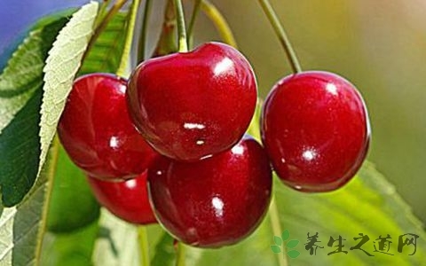 上班吃什么对皮肤好