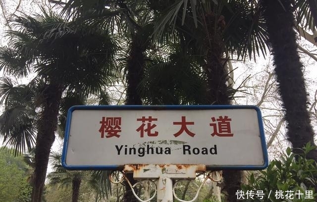 湖北武汉何止只是武汉大学的樱花，这五个地方也是必去的