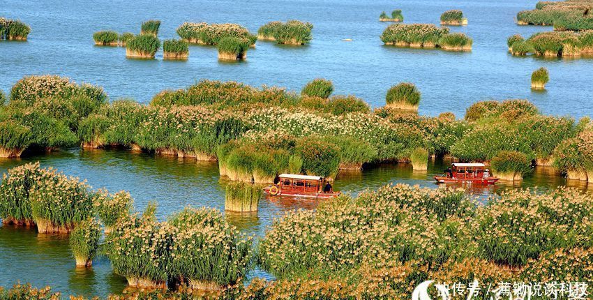 宁夏沙湖5A级景区推出金秋免票优惠措施