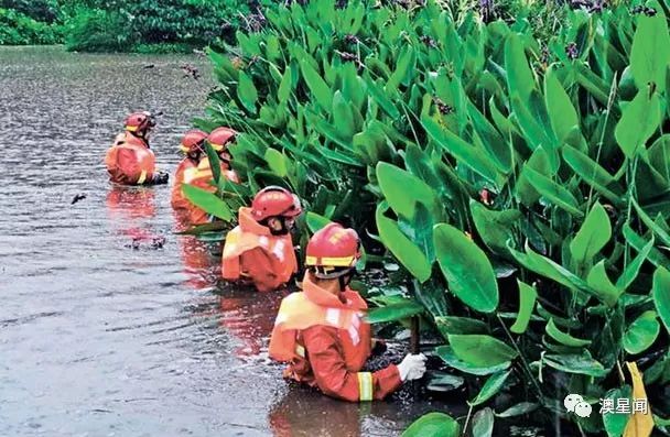 深圳清淤工人命丧暴雨 涉事企业收预警不理?罪责难逃