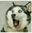 张继科深夜发文，表明分手事实，网友:开始就知道结局的爱情