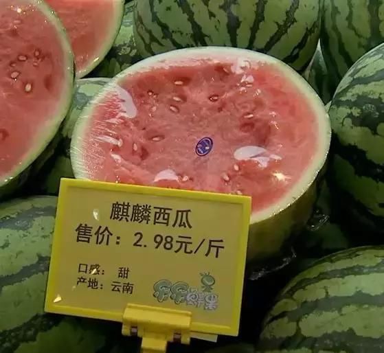  [尹明礼]一年销瓜400万元，看这个“弃笔投瓜”者把西瓜咋玩的？