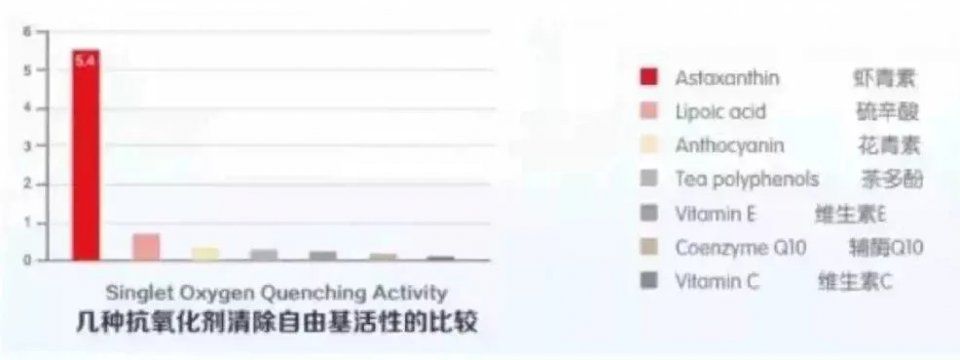 热剧《天盛长歌》里女扮男装的倪妮，颜值竟碾压厂花陈坤?